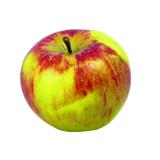 Äpfel der Woche (Elstar)