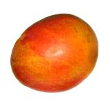Mango -angereift-