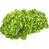 Salat der Woche