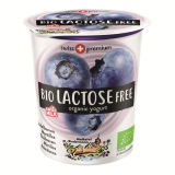 Lactosefreier Joghurt Heidelbeere, MHD 10.07.2026
