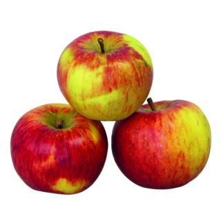 Äpfel der Woche (Deljonca) 3 kg Vorratstüte