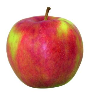 Äpfel Jonagold