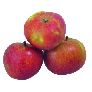 Äpfel Topaz, 3kg Vorratstüte