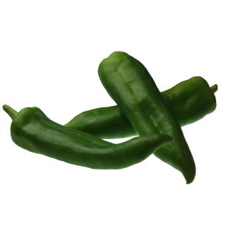 Paprika grün