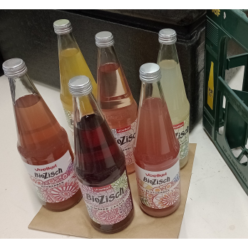 Bio Zisch Mixkasten (6 x 0,7 l)