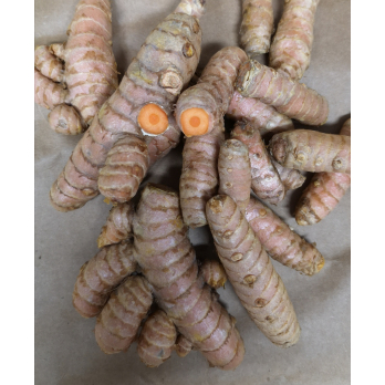 Kurkumawurzel, ca. 100g