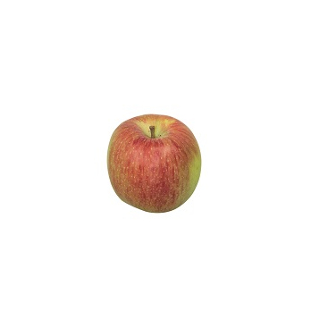 Äpfel Braeburn