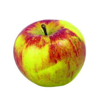 Äpfel der Woche (Elstar)