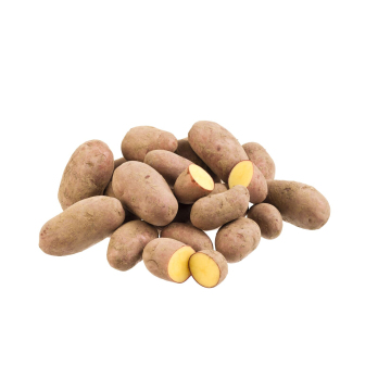 Kartoffeln Laura (rotschalig, vfk)