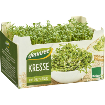 Kresse in der Schale