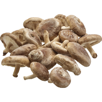 Shiitake-Pilze, ca. 100 g