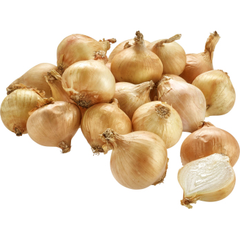Zwiebel gelb