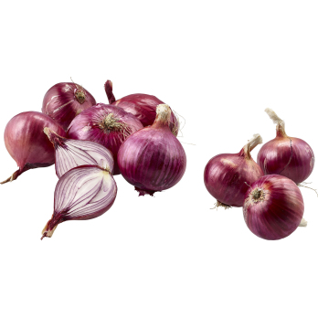 Zwiebel rot