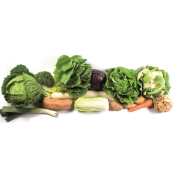 Gemüse/Salat M für 2-3 Personen